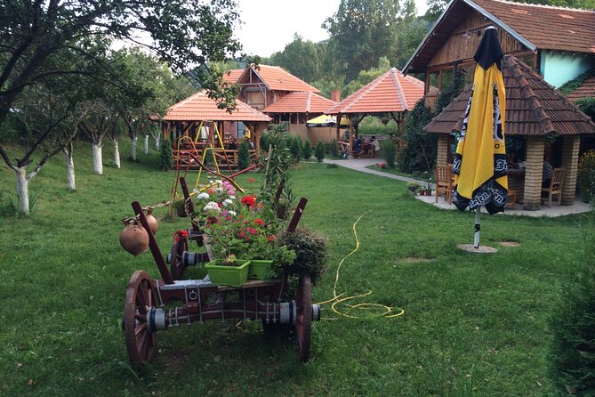 Stara Plana Day Tour - Wild horses and “watching time” on the route