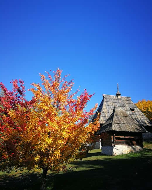 Zlatibor tour - Gold gondola, Stopic cave, Sirogojno & falls - Who this Zlatibor tour is best for